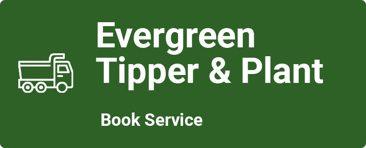 Evergreen Tipper & Plant